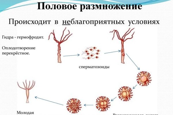 Кракен даркнет купить