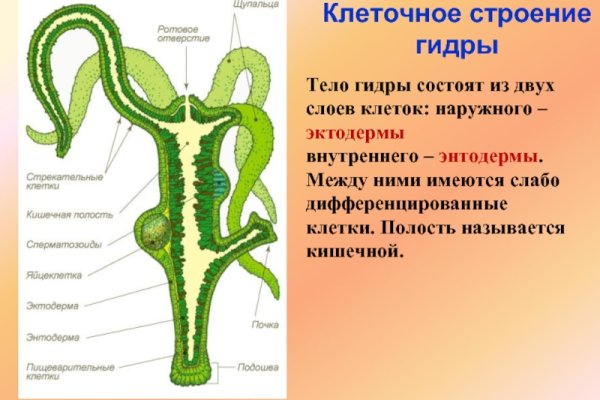 Кракен в обход