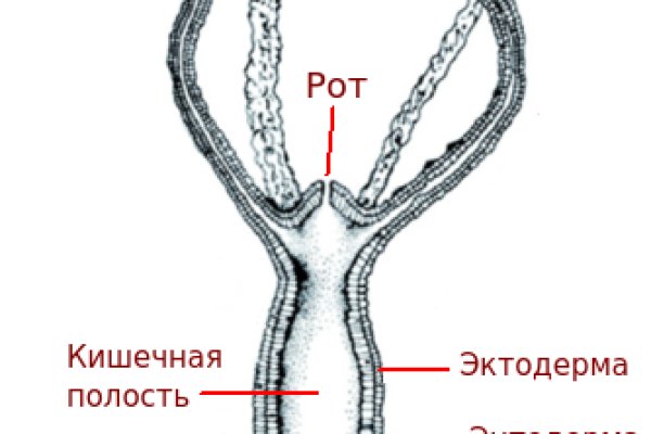 Kraken наркотики сайт