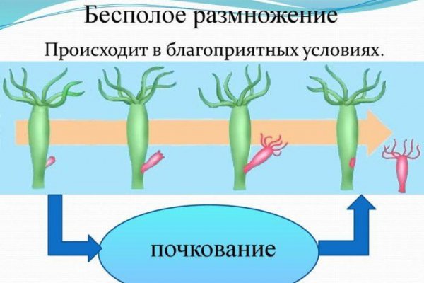 Кракен ru